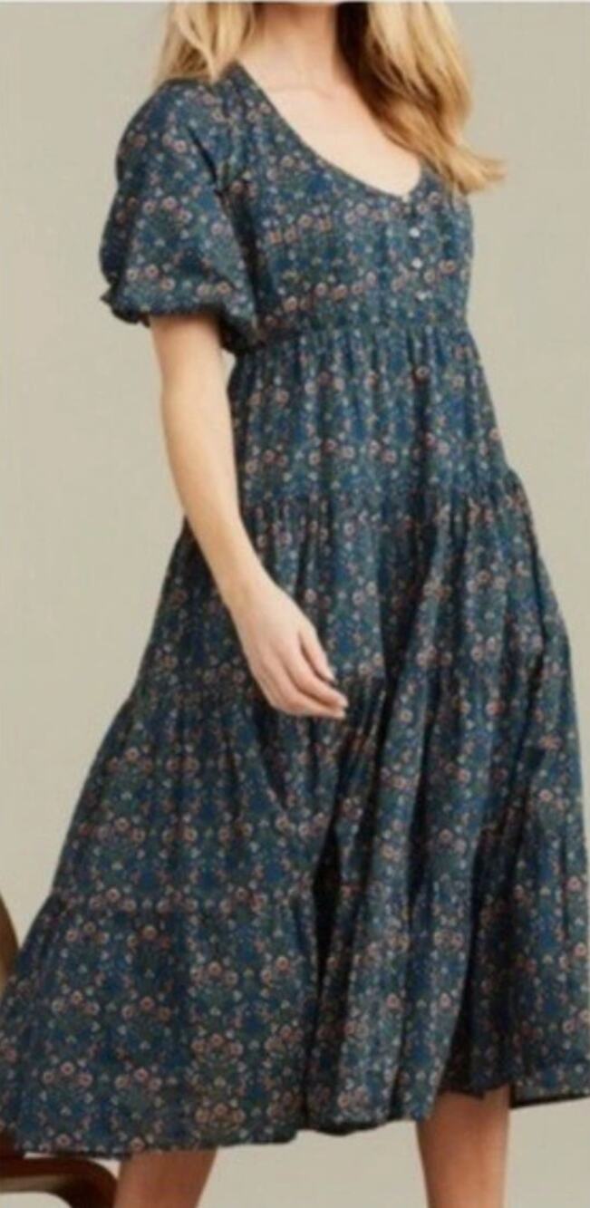 Roller Rabbit Hampton Mabel Midi Cotton Dress Floral Blue Size Small Cottagecore